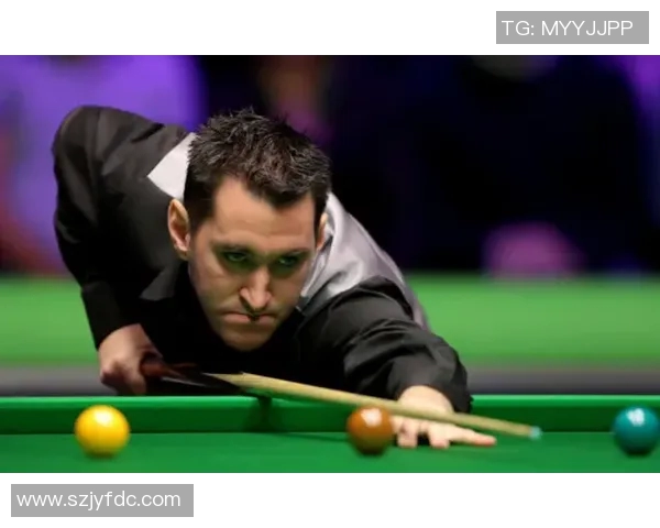 利恩比与布拉迪斯拉发的精彩对决分析与赛前展望 利恩比与布拉迪斯拉发的精彩对决分析与赛前展望