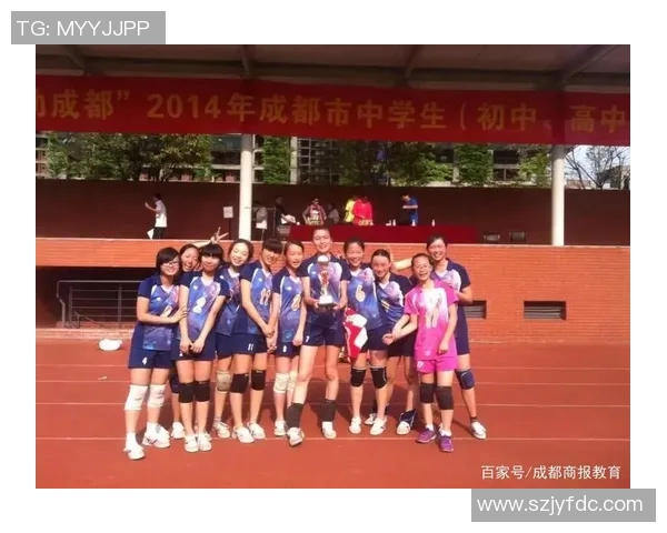 成都排球队技术对比深度解析与发展趋势探讨