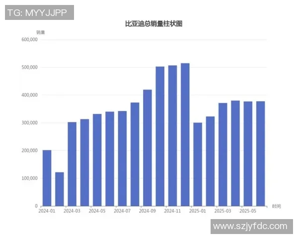 武汉网球队的节奏变化与战绩分析：挑战与机遇并存的赛季回顾
