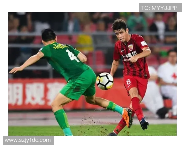 武汉排球队实力解析：从历史成就到未来展望的全面探讨