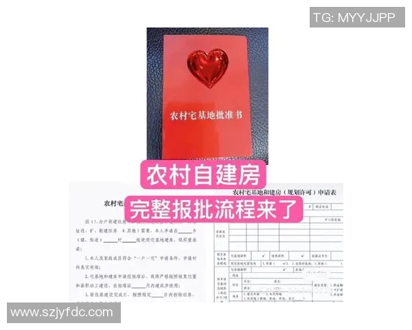 财务注册流程全解析：从申请到审批的关键步骤与注意事项